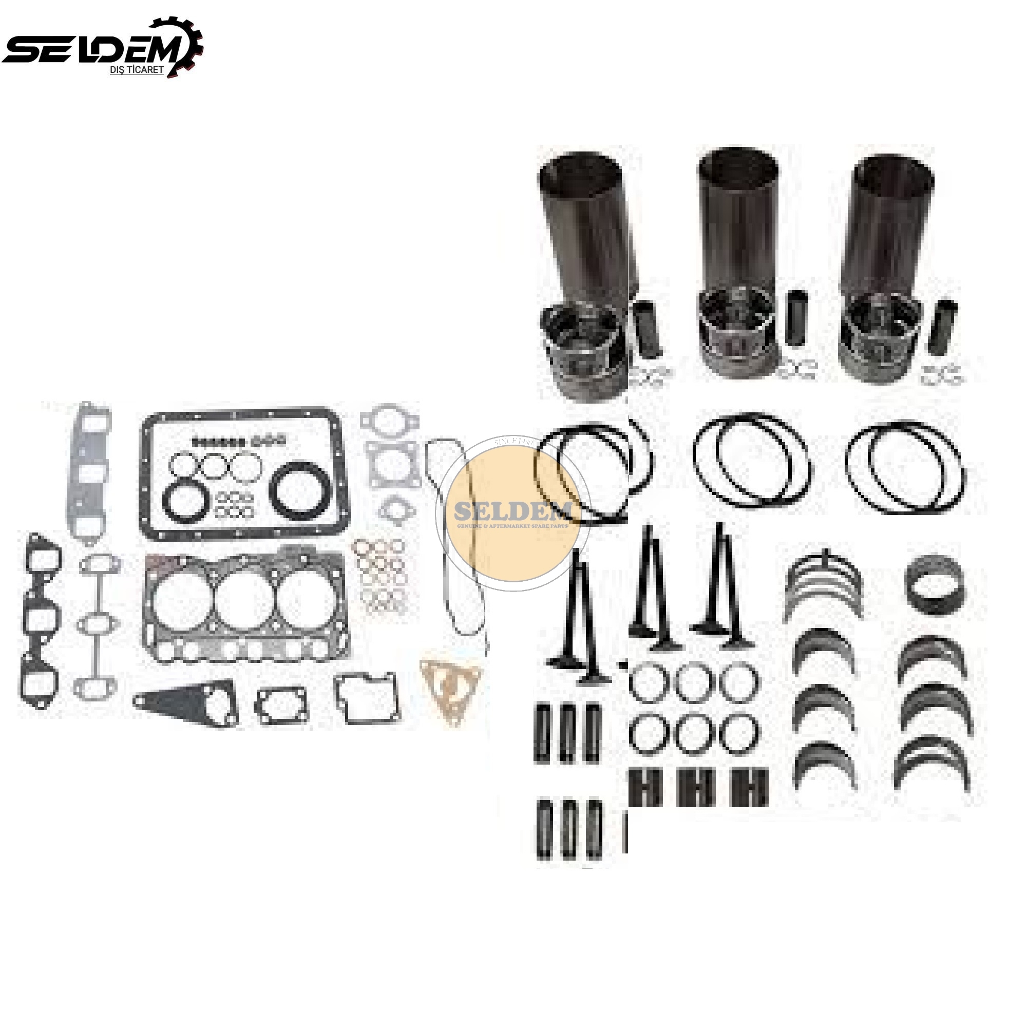Yanmar 3TNE68 Engine Repair Kit 
