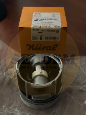 8786280022 Deutz Piston 8771309 